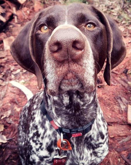 Lotti