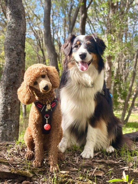 Nini & Wren