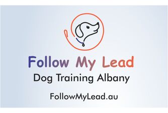Follow My Lead Dog Training