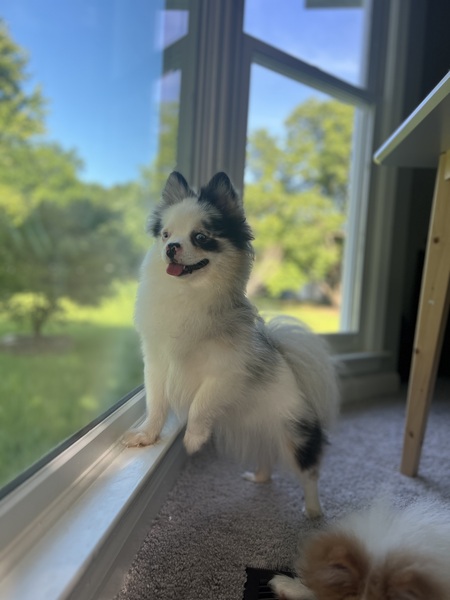 Stormi