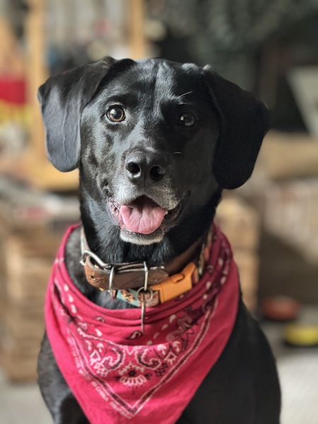 Opie