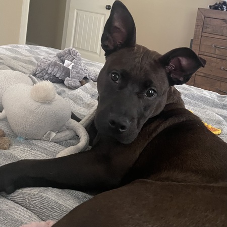 Luna