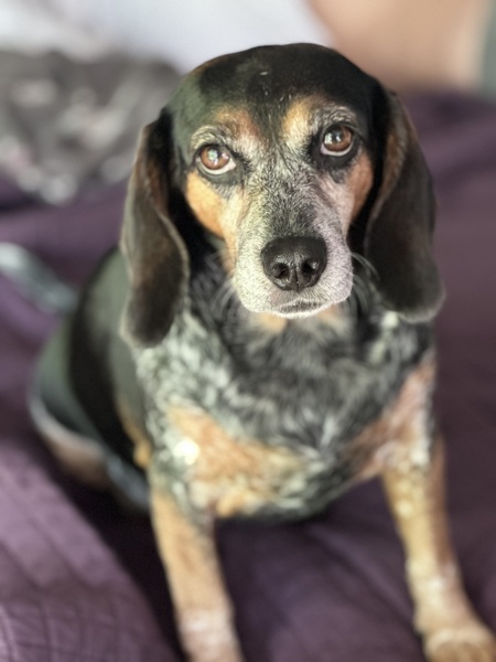 Ellie 