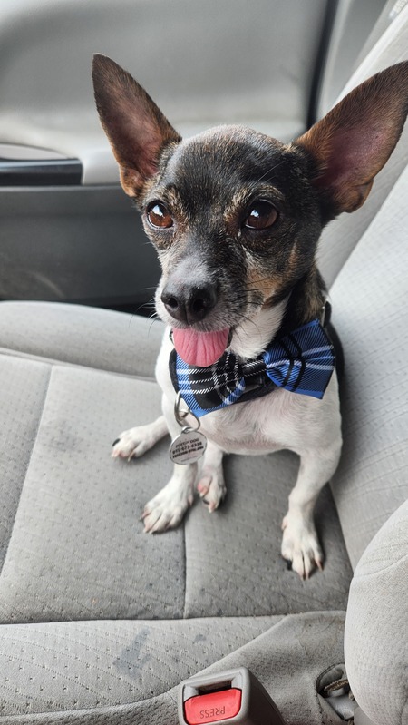 Baxter