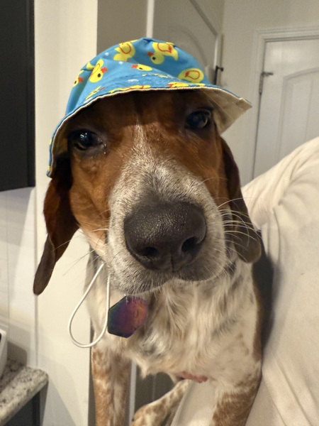 Beau-jangles