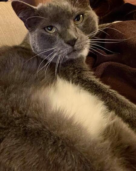 Gus