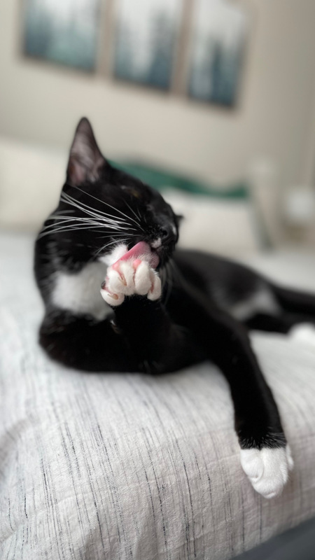 RuPaw
