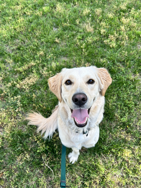 Ted