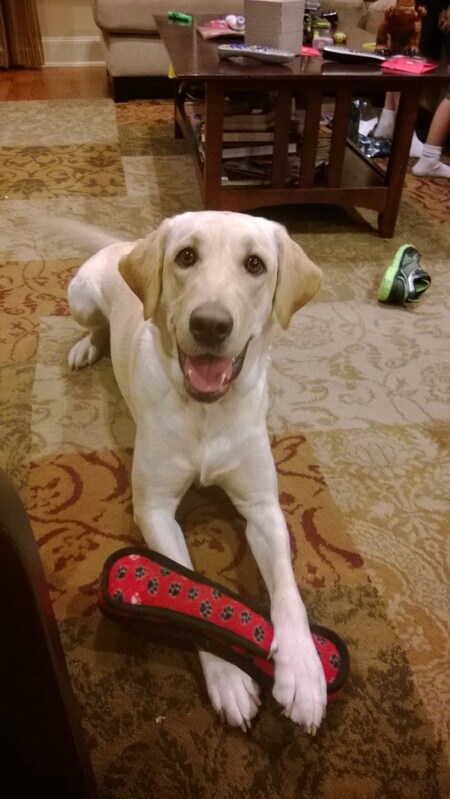 Carly