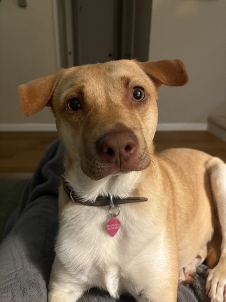 Lucy