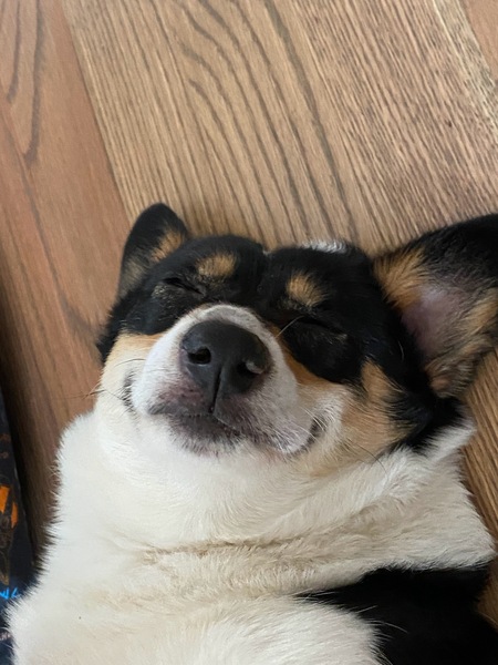 Finley