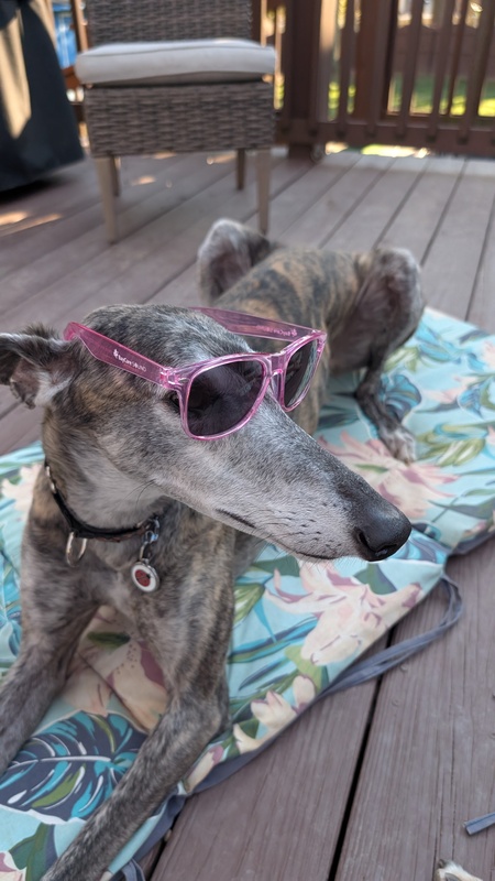 Roxy