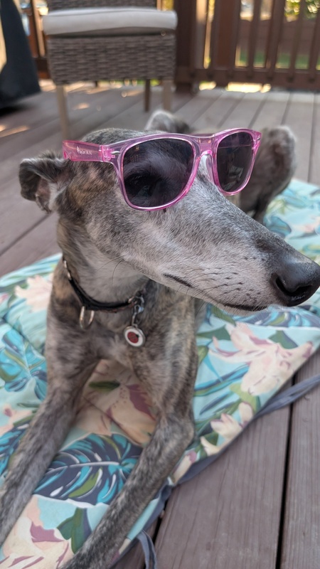 Roxy