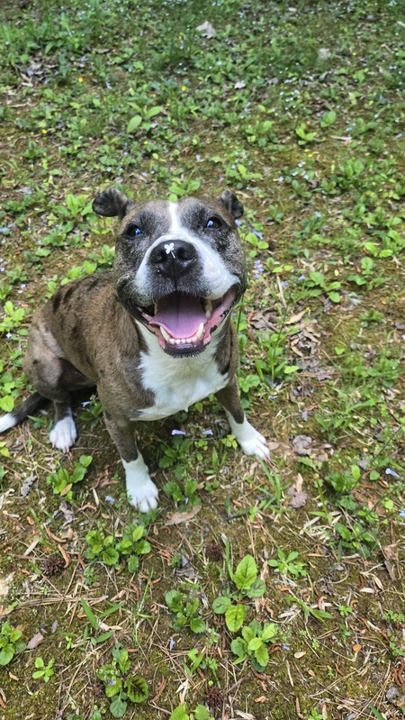 Bonnie