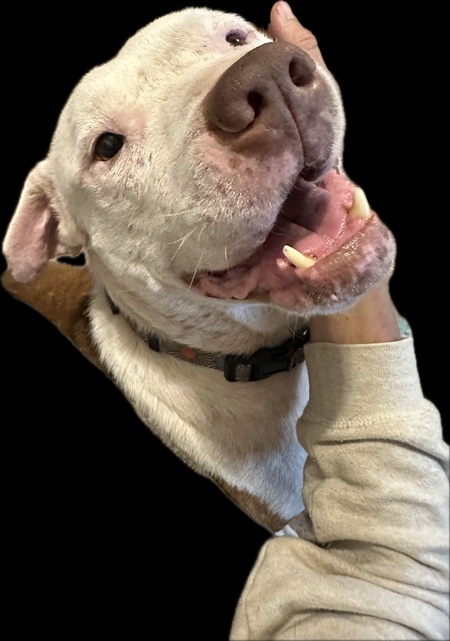 Dakota