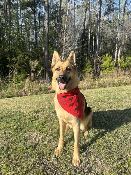 Skye