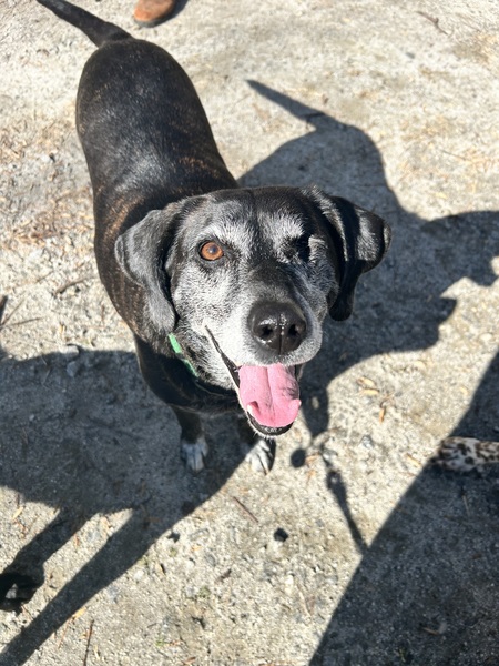 Ellie Mae
