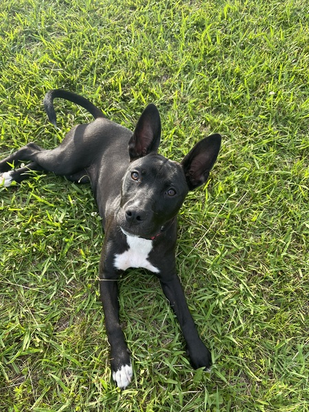 Fiona