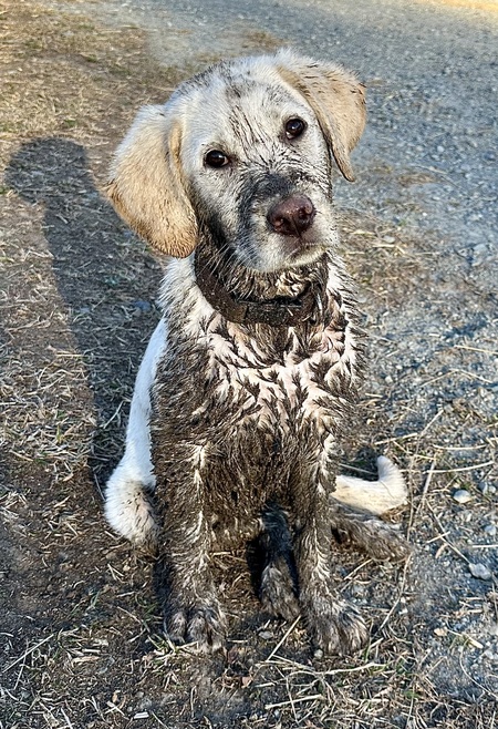 Matilda “Mati”