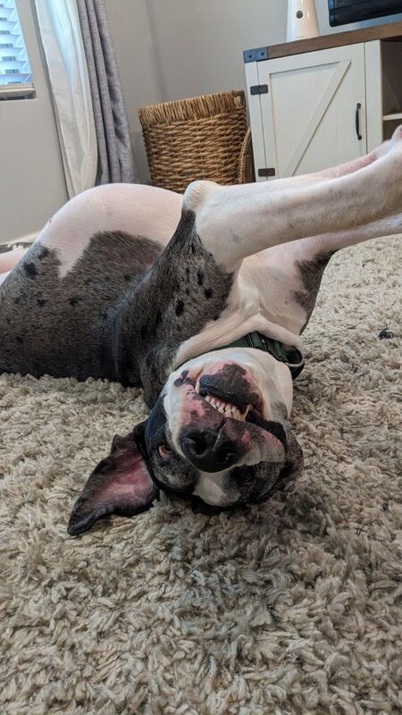 Nash