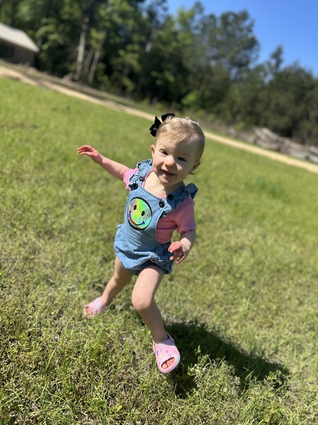 Piper