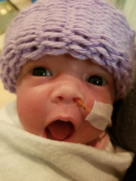 Harper
