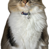 Entry image for Agnes