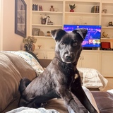 Entry image for Ellie