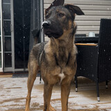 Entry image for Chase