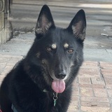 Entry image for Kona