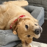 Entry image for Douglas 