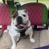 Entry image for Miller