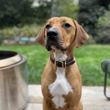 Entry image for Ashe