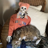 Entry image for Sammi