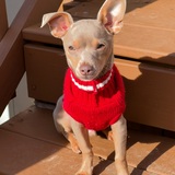 Entry image for Toby 🐾