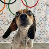 Entry image for Millie B.