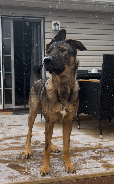 Entry image for Chase. Clicking this image will show a larger photo