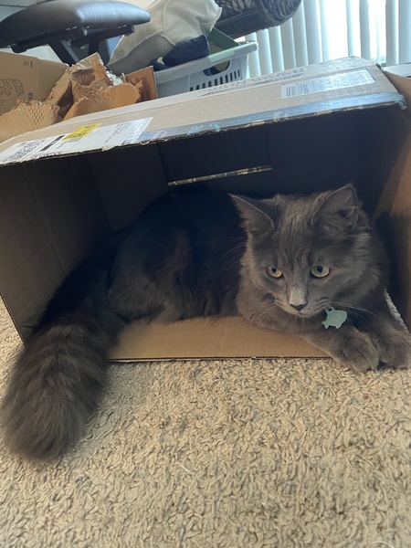 Entry image for Peter. Clicking this image will show a larger photo