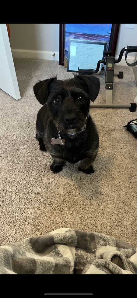 Gracie