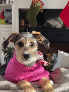 Luna Jane