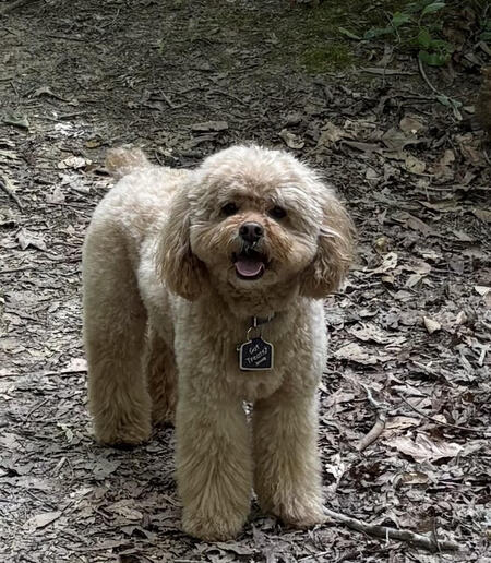 Charlie