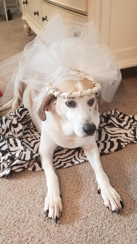 Daisy