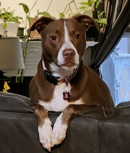 Lily