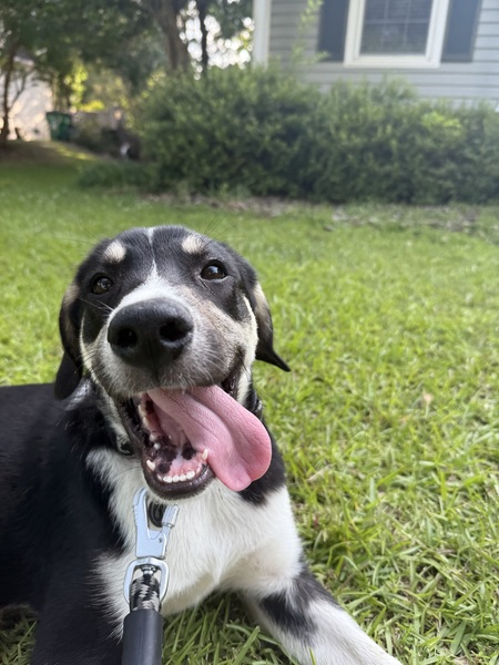Jax
