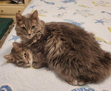 Molly and Peanut