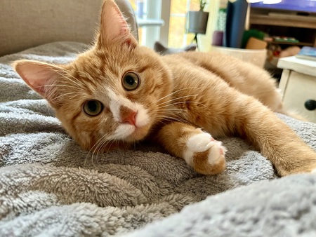 Jack