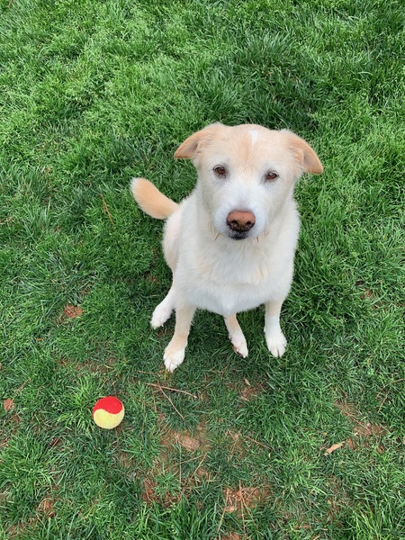 Bella