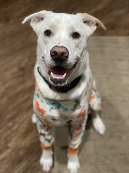 Remi