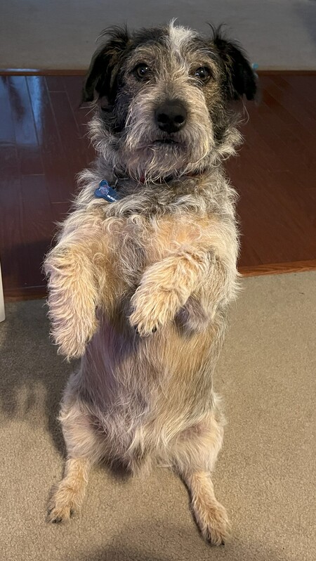 Murphy