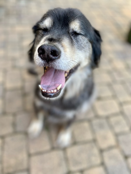 Laska